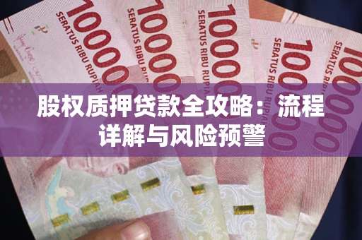 北京股权质押贷款全攻略：流程详解与风险预警