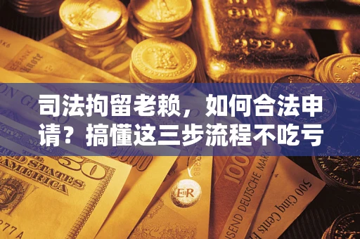 北京司法拘留老赖，如何合法申请？搞懂这三步流程不吃亏！