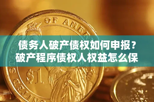 北京债务人破产债权如何申报？破产程序债权人权益怎么保障？