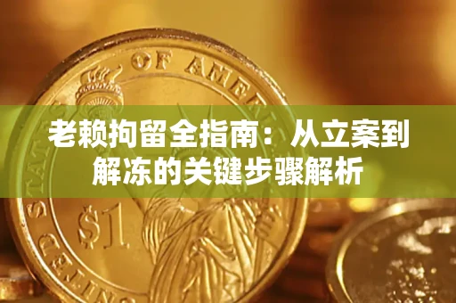 北京老赖拘留全指南：从立案到解冻的关键步骤解析
