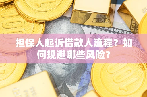 北京担保人起诉借款人流程？如何规避哪些风险？