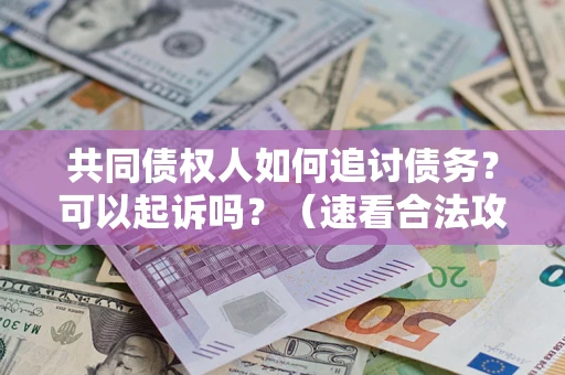 北京共同债权人如何追讨债务？可以起诉吗？（速看合法攻略）