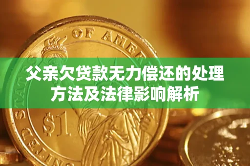 北京父亲欠贷款无力偿还的处理方法及法律影响解析