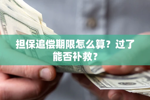 北京担保追偿期限怎么算？过了能否补救？